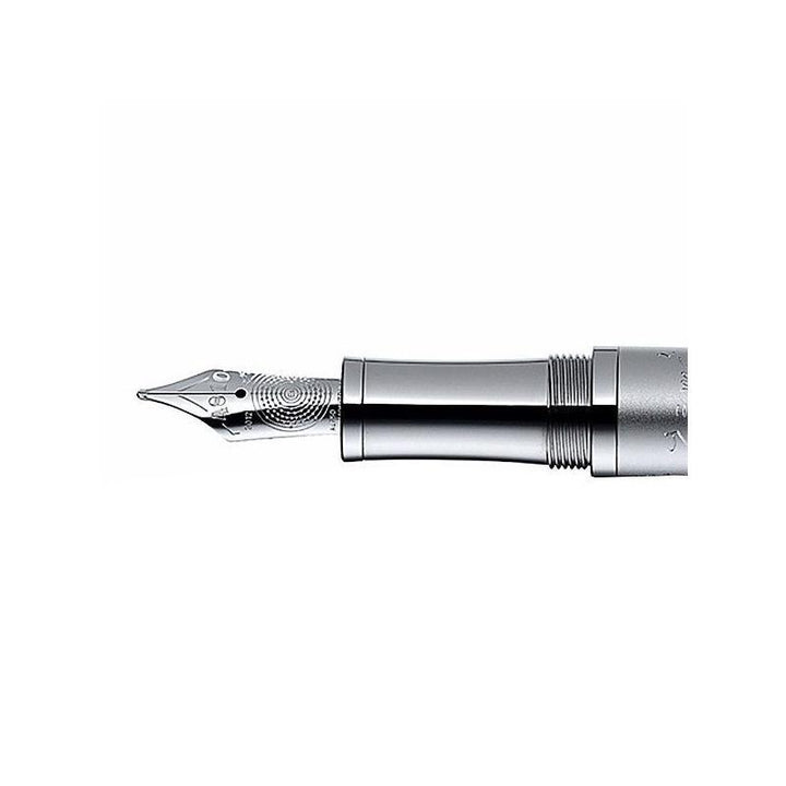 Stilografica Montblanc Edizione limitata Albert Einstein